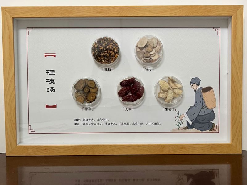 桂枝湯-中藥方劑標本