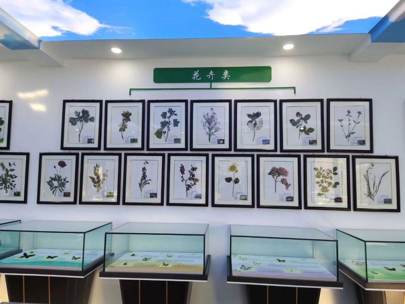 標本展覽館