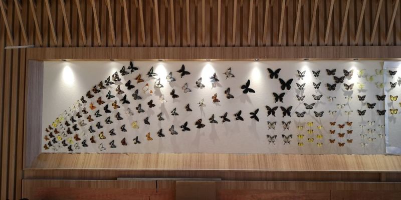 標本展覽館